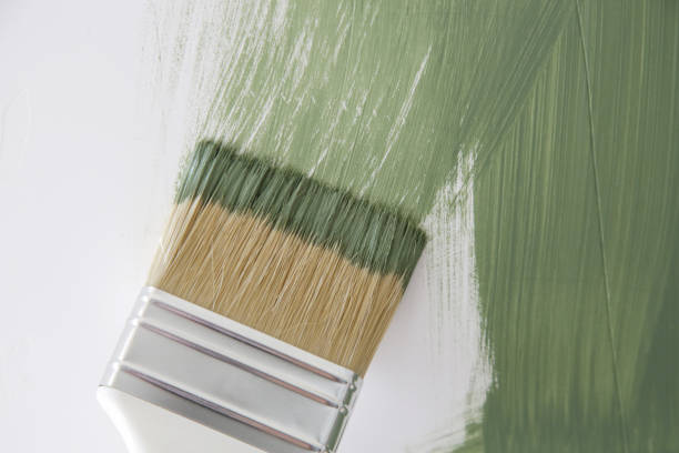 Best Water Damage & Mold Remediation  in Medford, NY