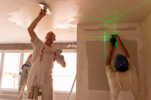  Medford, NY Mold Removal Pros