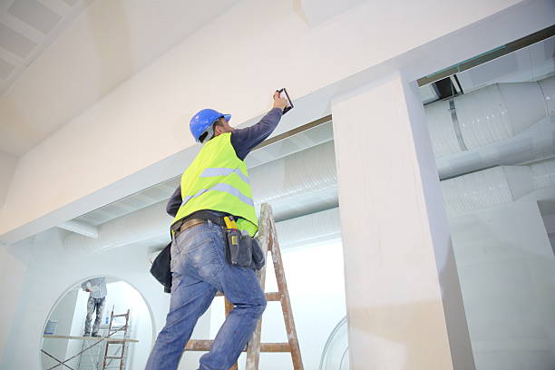 Reliable Medford, NY Mold Removal Solutions