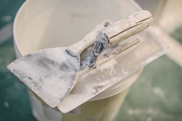 Best Airborne Mold Testing  in Medford, NY